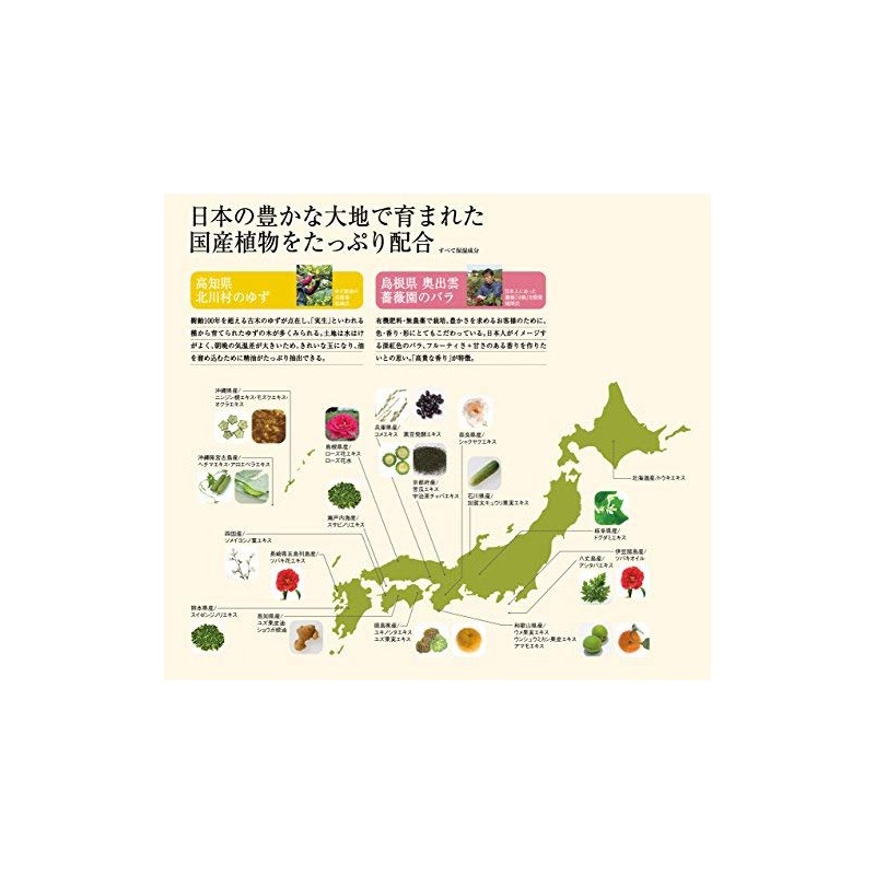 リンレン レメディアル トリートメント ユズ&ジンジャー 520ml