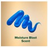 Irish Spring Mens Body Wash, Moisture Blast Body Wash for