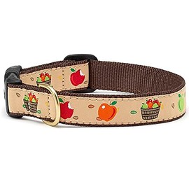 Up Country Apple of My Eye Pattern (Apple of My Eye Dog Collar, X-Large (18 to 24 inches) 1 inch Wide Width)