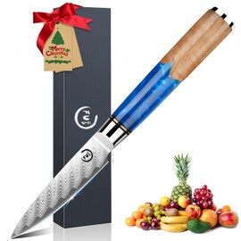 Fukep Paring Knife 3.5 Inch Damascus Paring Knife Small Fruit Knife Ultra Sharp Damascus VG10 Core Steel with 66 Layers High Carbon Steel Classical Pattern Blue Handle Unique Gifts with Gift Box