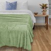 PAVILIA Sage Green Throw Blanket for Couch, Twin Bed, Soft