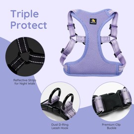 BELLA & PAL Dog Harness with Leash Set, Adjustable Step-in Puppy Harness for Extra-Small/Small Medium Dogs, No Pull Breathable Vest Reflective Harness with Leash D-Ring (Purple, M (Chest: 18-21"))