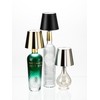 Abbott Collection Cordless Rechargeable LED Bottle Stopper Lamp/Light (Silver, Classic