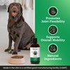 Pet Flexicose All Natural Dog Hip Joint Care and Support