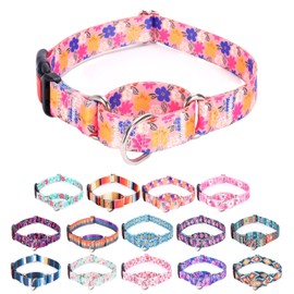 Moonpet - Collar de martingala para perros, ajustable, suave, duradero, para perros pequeños, medianos y grandes, sin tirones, con hebilla de seguridad antideslizante, collar de perro, color