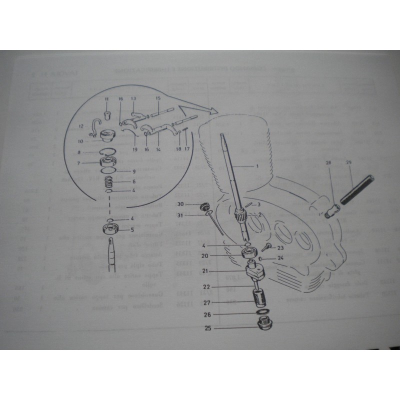 1960's Capriolo Motorcycle Parts & Service Manual-NEW