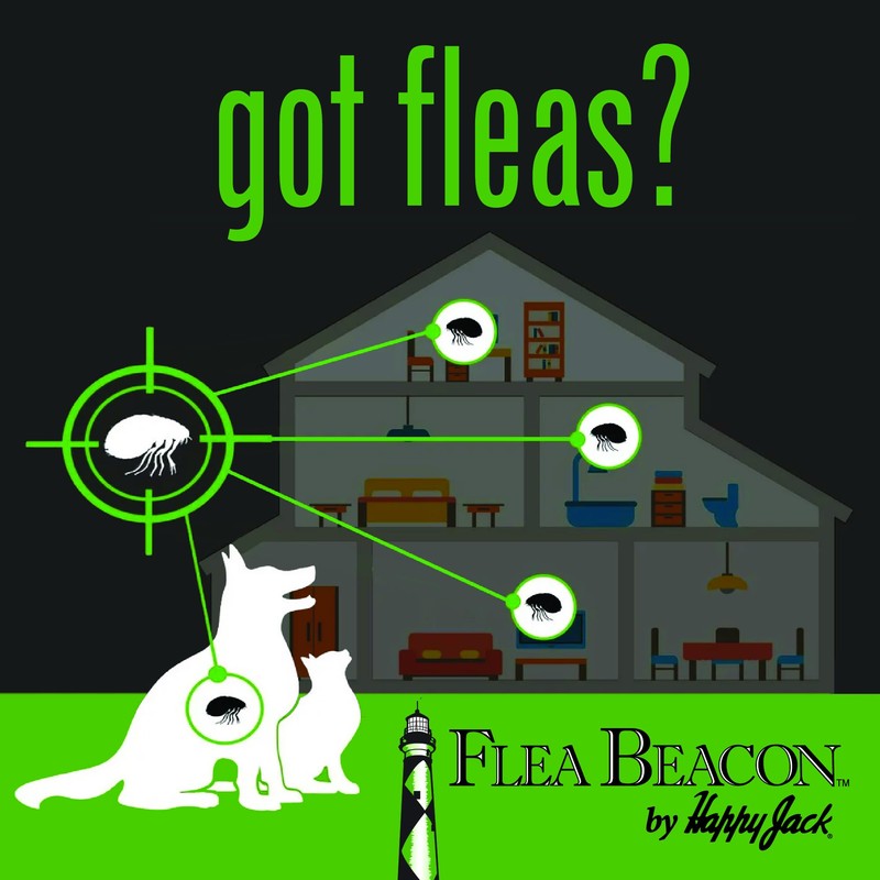 Happy Jack Gardstrips Replacement Glue Pads for Flea Traps, Attracts