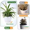 Planterhoma 5 Inch Self Watering Pots for Indoor Plants, 12