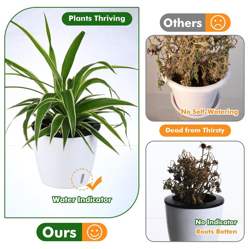 Planterhoma 5 Inch Self Watering Pots for Indoor Plants, 12