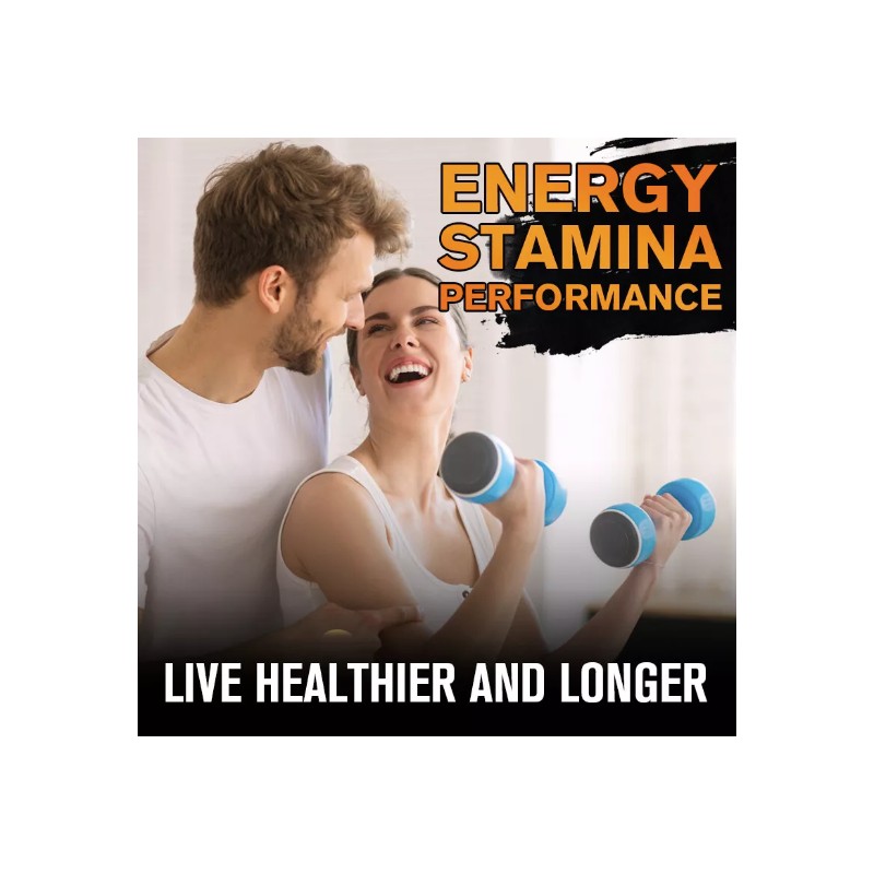 Acetyle L-Carnitine 1000mg 240Capsules Energy Production Supplement High Potency