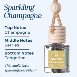 Scented Car Air Freshener - Long Lasting Car Diffuser - Last 60+ Days:_Sparkling Champagne