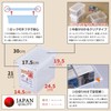 Tenma Storage Box with Lock & Divider, Easy-To-Use, Clear Case