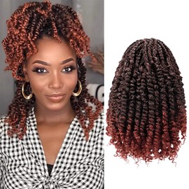 Passion Twist Hair 10 Inch Pre-twisted Passion Twist Crochet Hair for Women Pre-looped Water Wave Crochet Braids Bohemian Curly Crochet Hair Synthetic Hair Extensions 8 packs 1B/350