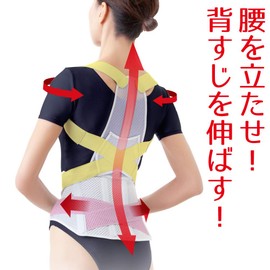 Posture Belt for Correcting Doctor's Waist M-L