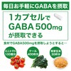 サプリクラフト GABA ギャバ サプリ 1カプセルにGABA500mg 100カプセル