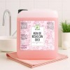 Agua De Rosas Con Coco Hidratante Facial 5 Litros Momento