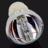 ViewSonic NEW OEM PROJECTOR LAMP BULB FOR VIEWSONIC VS13648 RLC061