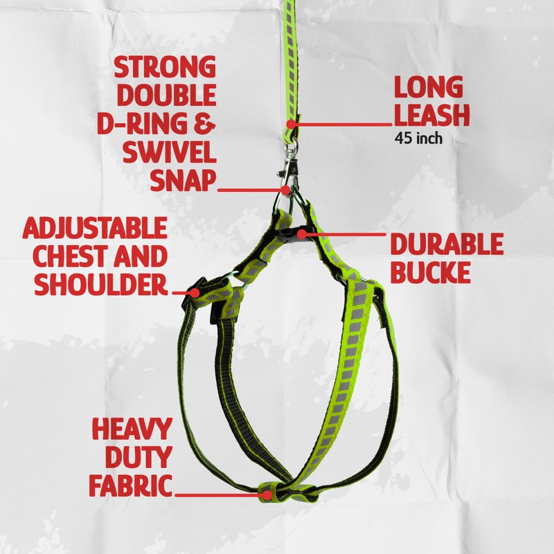 Filbert Cat Harness and Leash Set with Reflective Strip, Cat