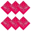 APIGANIZ 100% Cotton Bandanas, 21 x 21 inches, Set of