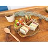 Kano Earth Color Antibacterial Lunch Plate, Small, Diameter 8.4 inches