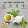 Soursop Leaf Tea with Licorice Root & Celastrus Hindsii, Re-Steep