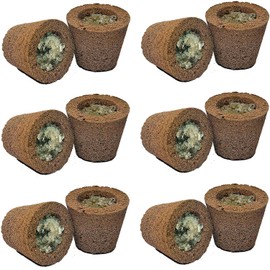SAMRIDHI CREATION Herbal Sambrani Loban Dhoop Guggal Incense Cup Pack of 12 Cups (1 Box of 12 Cup)