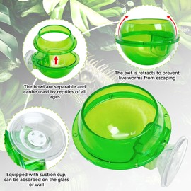 Tfwadmx Chameleon Bowl, Reptile Feeding Feeder,Worm Live Fodder Container, Water Dish Gecko Ledge Suction Cup Feeder Chameleon Supplies Accessories for Gecko Lizard Bearded Snakes Dragon 4 Pcs