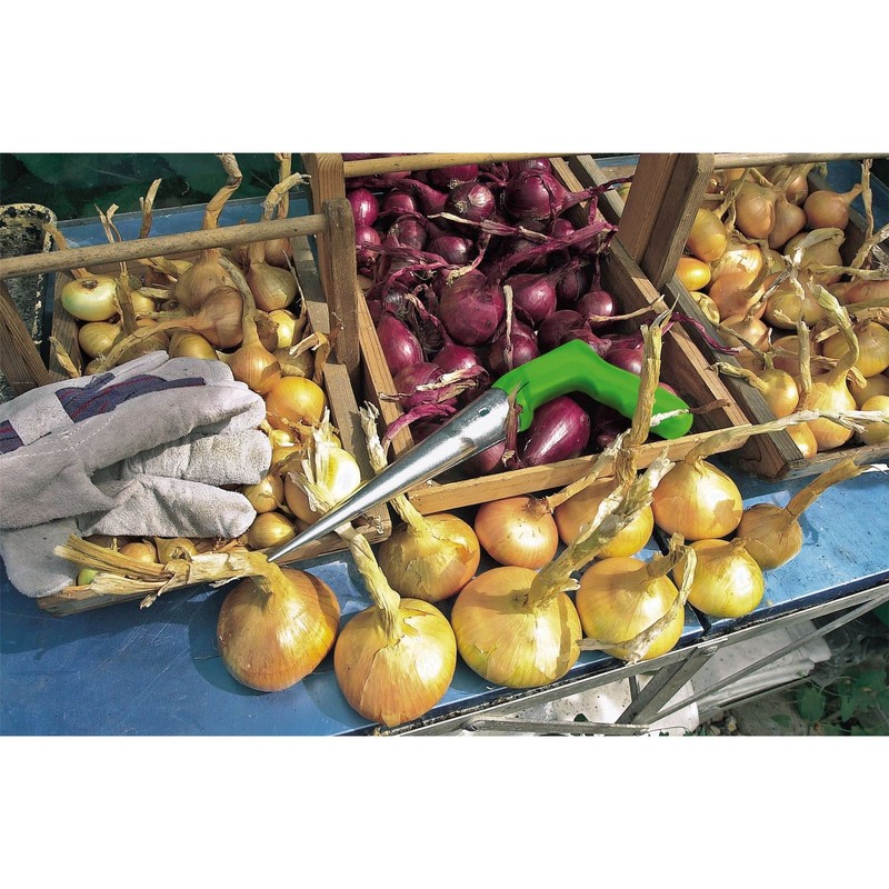 Draper 36981 Garden Dibber, 210mm, Blue