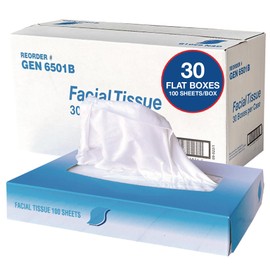 GEN Facial Tissue, 2-Ply, White, Flat Box, 100 Sheets/Box, 30 Boxes/Carton