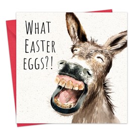 Twizler Funny Easter Card - Donkey - Happy Easter Cards for Mum Dad Nan Grandad - Easter Greetings for Son Daughter Grandson Granddaughter Friend