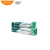 Himalaya Toothpaste 100g Complete Care