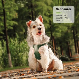 Didog No Pull Dog Harness and Leash Set, Soft & Lightweight Small Dog Harness, Adjustable Leather Dog Vest Harness for Small Dogs, Green, S