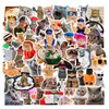 66Pcs Funny Cat Stickers for Kids Teens Adults Boys Girls