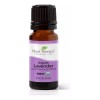 Plant Therapy Aceite Esencial Orgánico De Lavanda 10 Ml