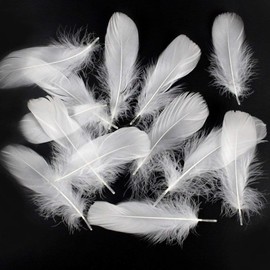 Feather Shower Feathers Plenty of 120 Decorative Feathers Wedding Wedding Birthday Party Craft Materials DIY Decorative Accessories (White)