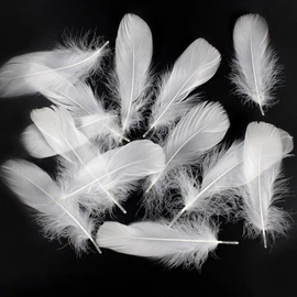 Feather Shower Feathers Plenty of 120 Decorative Feathers Wedding Wedding Birthday Party Craft Materials DIY Decorative Accessories (White)