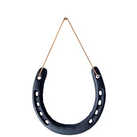 Fight Club Lucky Horseshoe Wall Art for Good Luck, Home Decor, Housewarming Gift, Wedding Gift