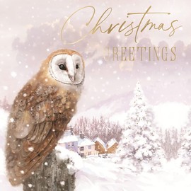 Box of 8 Donkey & Owl Xmas Greetings Christmas Cards In 2 Designs Boxed Cards XCPS019