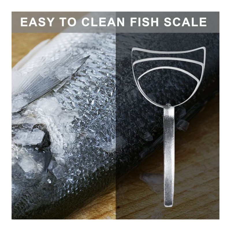 BOLEX Professional Square stainless steel Bone Dust Scraper- Catering kitchenware