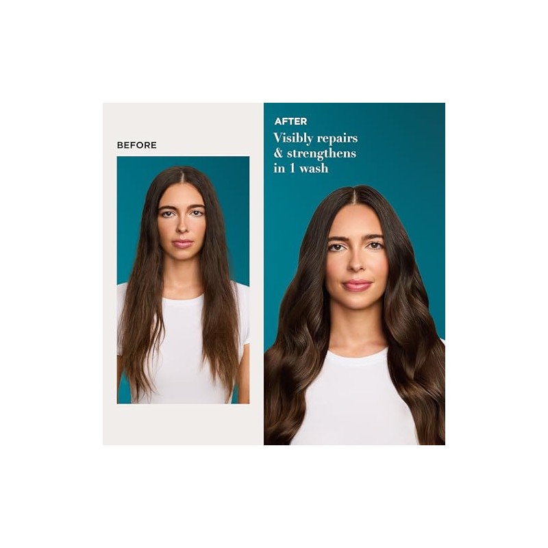 OGX, Shampoo Renovador de Aceite de Argán, 385 ml