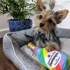 Huxley & Kent for Dogs | Bubbling with Pride Chompagne