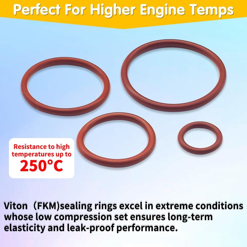 Langina 396PCS 30Sizes Viton O-Ring Kit, Metric Viton O Ring