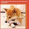 Hund Geburtstag Spielzeug, 2 Stück Hundespielzeug, Hundekuchen Geburtstag und Hundeknochen