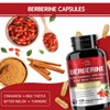 Berberine Supplement 19,060mg,Berberine with Ceylon Cinnamon,Bitter Melon,Milk Thistle,Berberine HCl Supplement(120