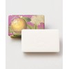 From England SSWP0049 Macnoria & Hair Air Soap