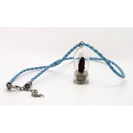 Goldy Cactus Live Terrarium Necklace Plant. Tiny Cacti with 17" Blue Woven Necklace