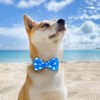 azuza Dog Collar with Bow Tie, Soft and Comfortable Adjustable