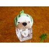 Sinada Nagio Strap Watermelon