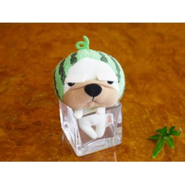 Sinada Nagio Strap Watermelon