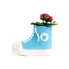 Milimetrado Original Flower Pot for Small Plants in Blue Shoe